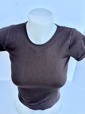 Harlow Ribbed Crewneck Short Sleeve Top - Brown